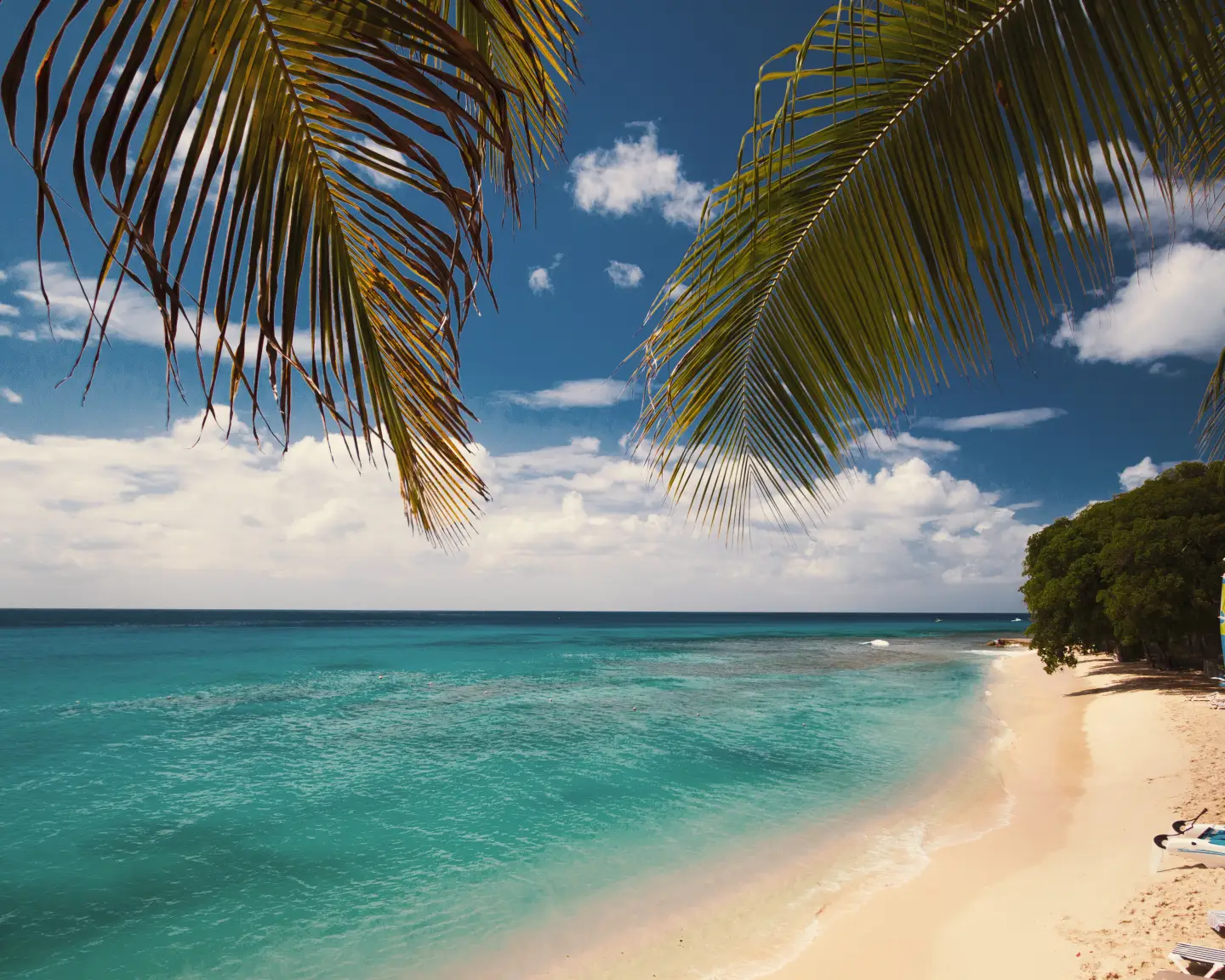 panorame view of a beautiful sandy beach in barbados with direct ocean view and some lounges and umbrellas on the beach