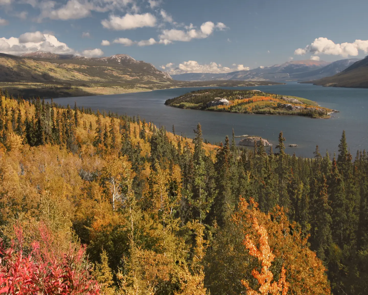 View of a lake on the Yukon River.