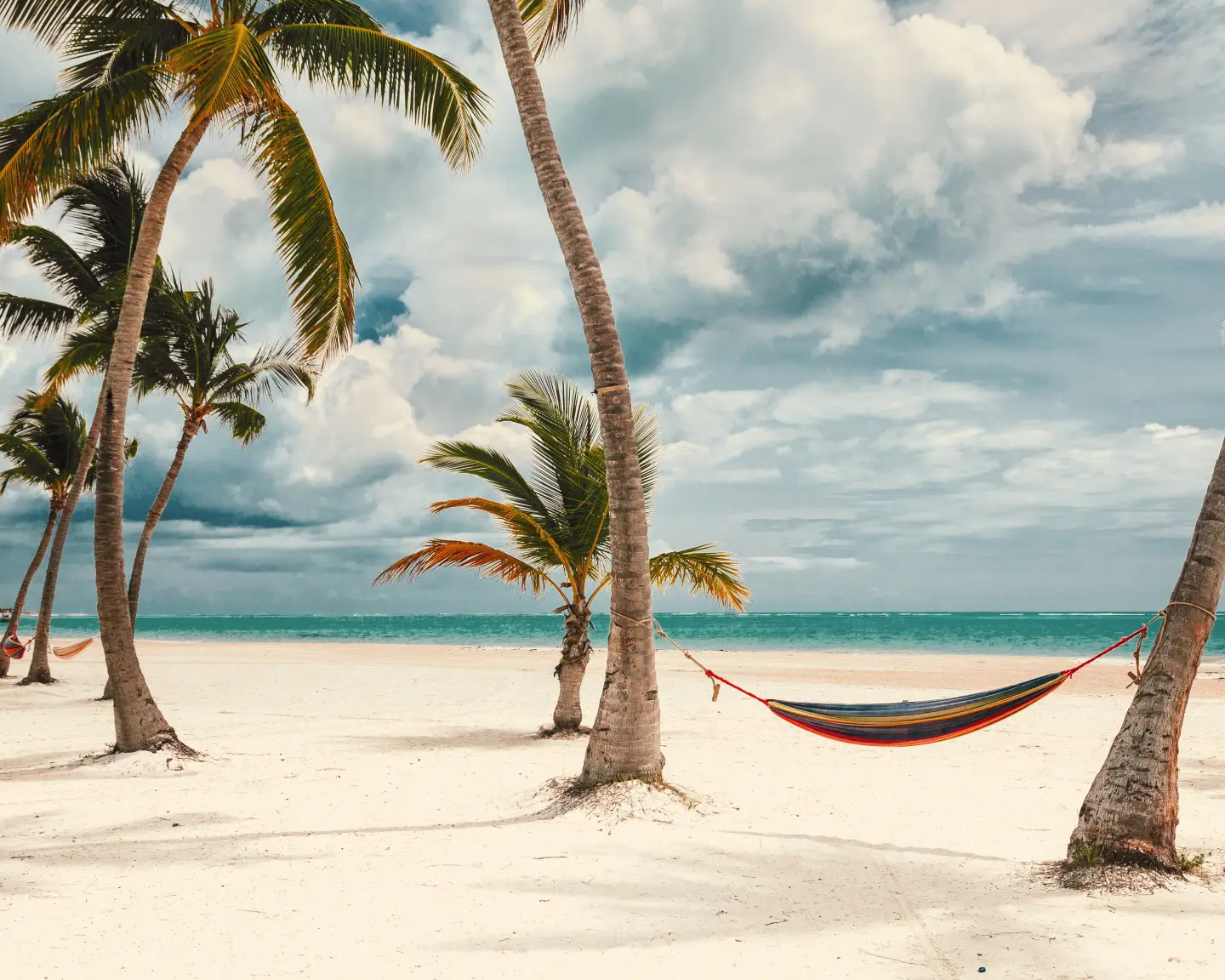 A sunny day on the beach in Punta Cana, Dominican Republic, with a view of palm trees and the blue sea.