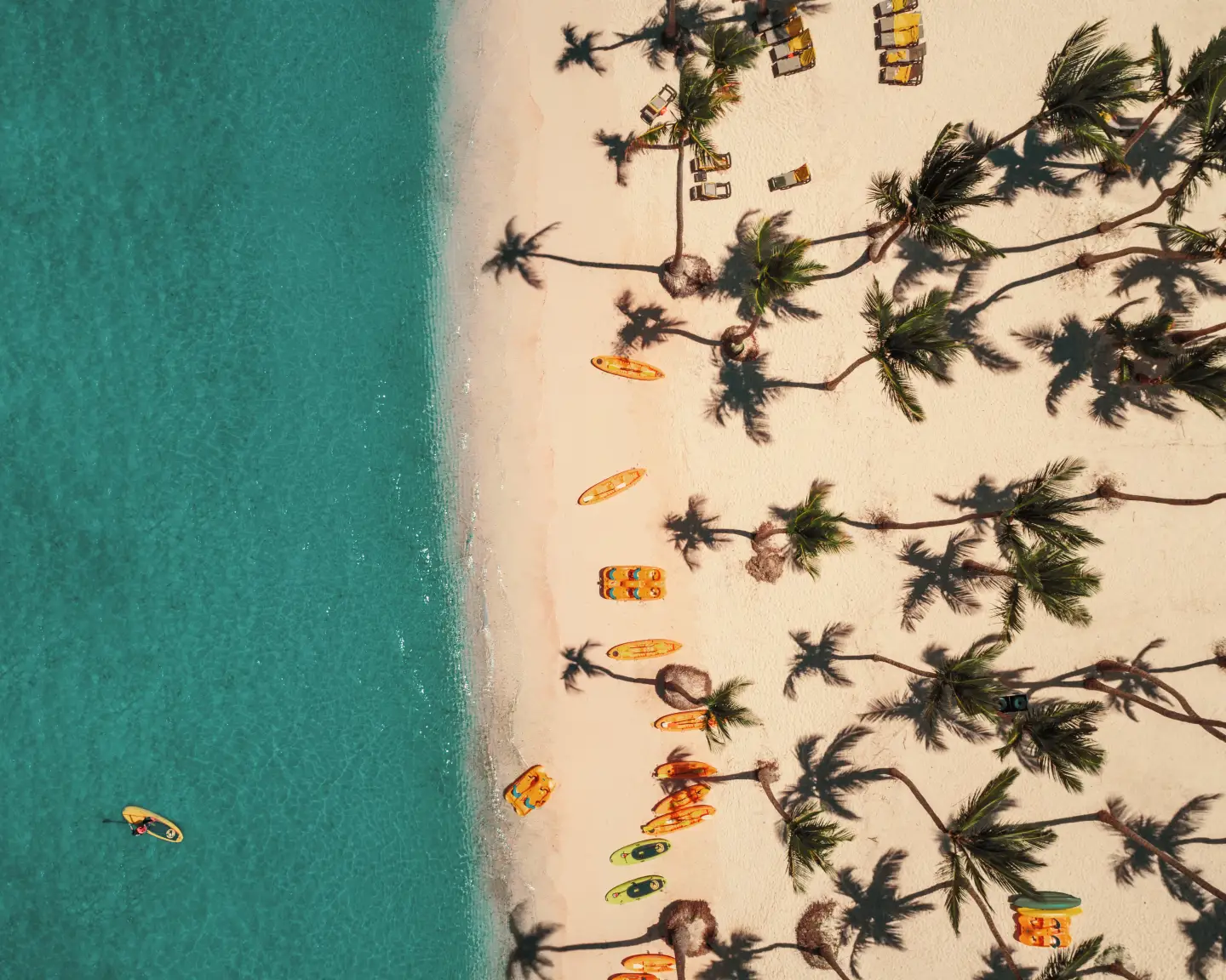 Palmenstrand in Punta Cana in de Dominicaanse Republiek.