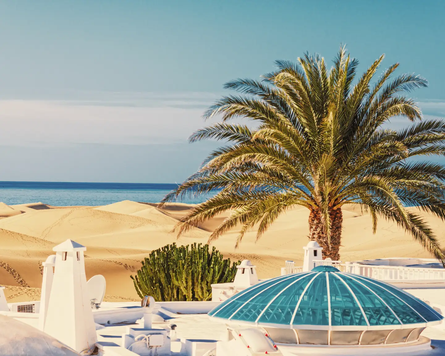 Een palmboom rijst op voor de glooiende duinen van Gran Canaria, met uitzicht op de diepblauwe zee achter een elegant wit terras.