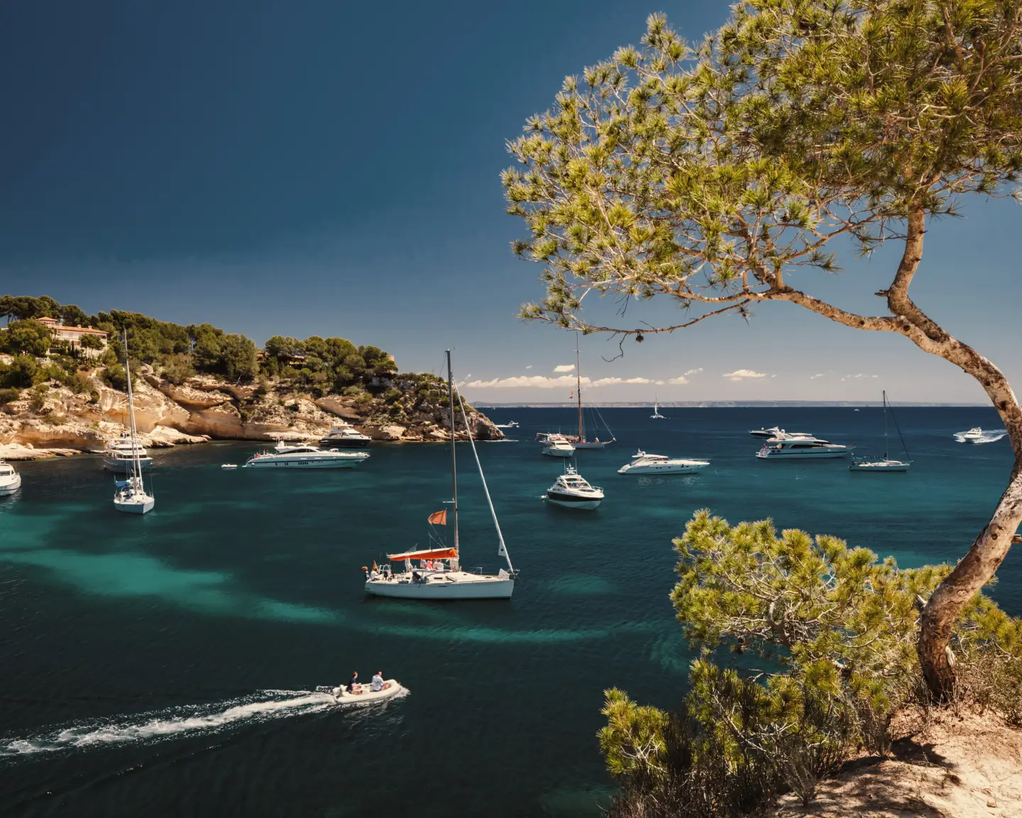 Un voilier dans une baie à Palma de Majorque avec des palmiers, la mer et des rochers