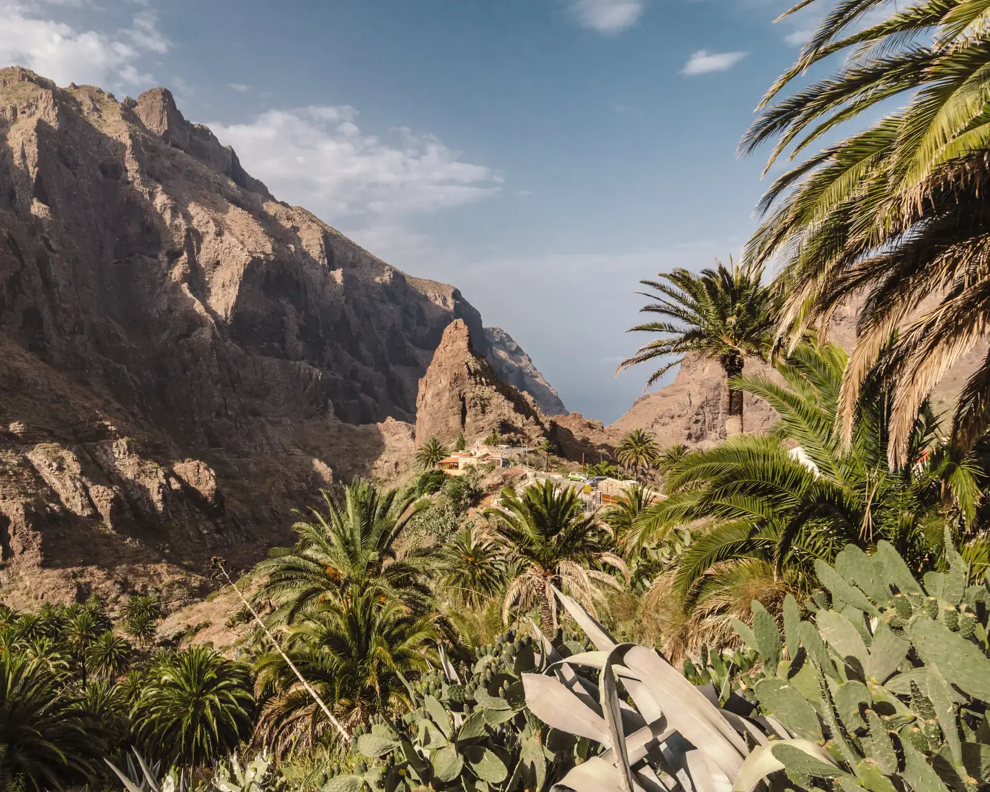 Une vallée verdoyante à Tenerife, entourée de hautes montagnes escarpées sous un ciel bleu clair.