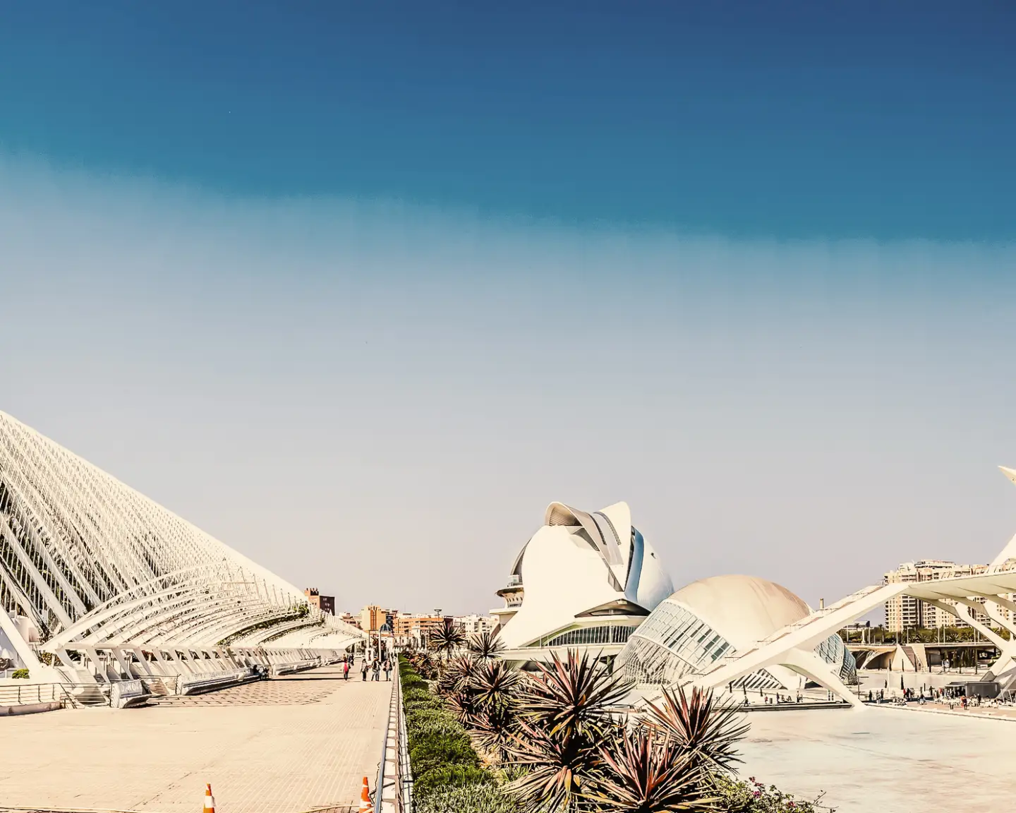 Modern architecture in the City of Arts and Sciences in Valencia, Spain, with futuristic buildings and clean lines.