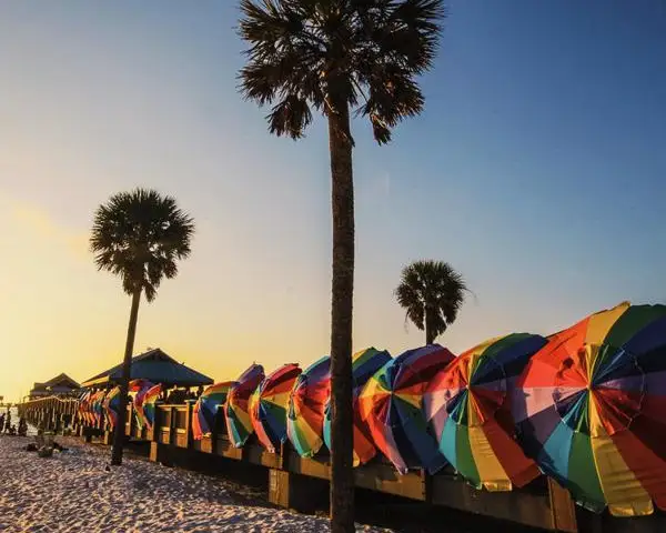 Palmen am Strand in Orlando beim Sonnenuntergang.
