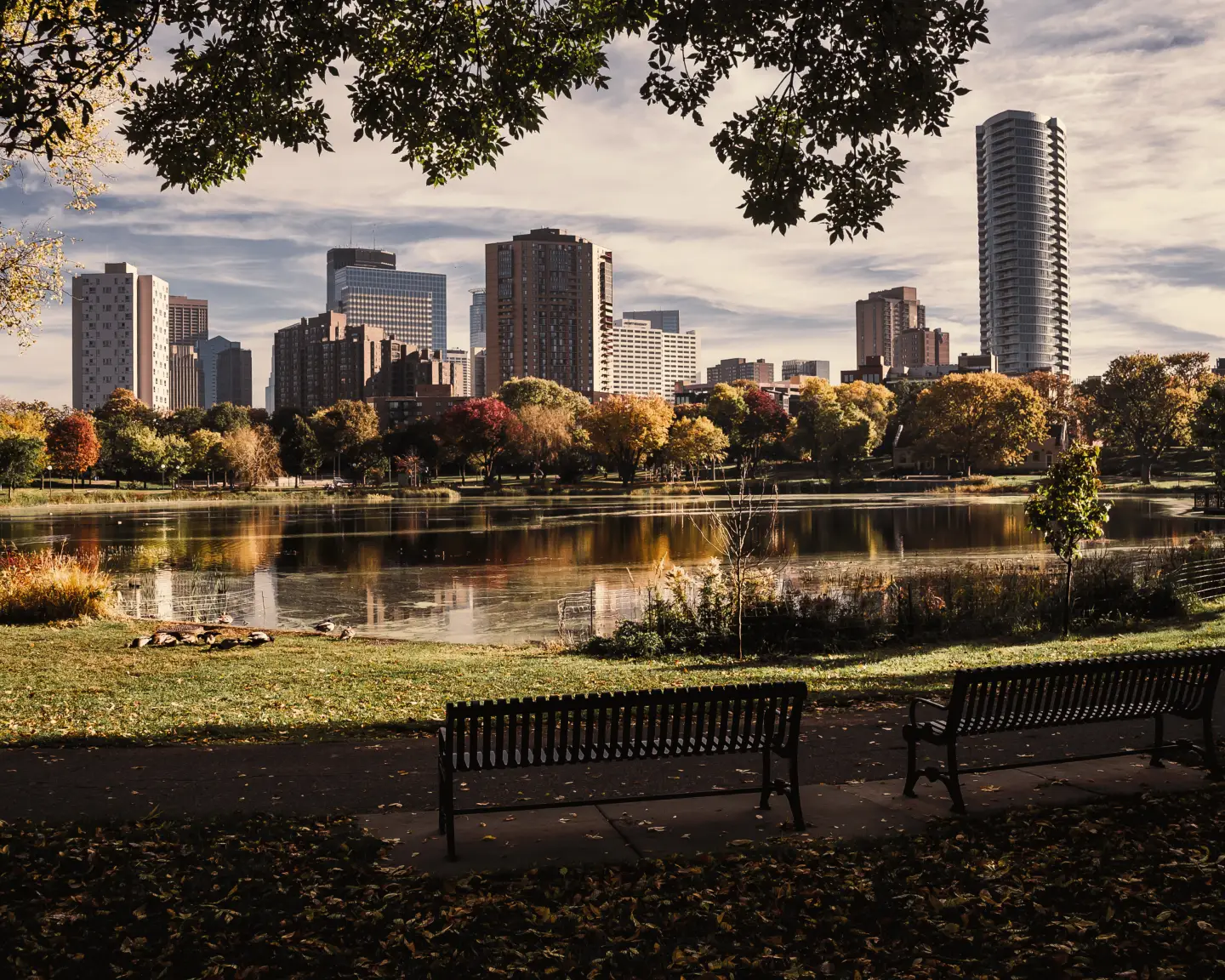 Blick auf die Skyline von Minneapolis mit Hochhäusern hinter einem ruhigen See in einem Park, mit Bänken im Vordergrund und herbstlich gefärbten Bäumen.