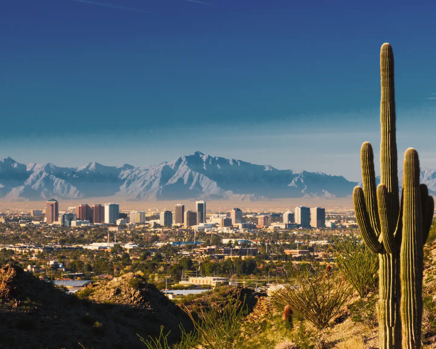 Blick auf die Skyline von Phoenix, Arizona, mit einem Kaktus im Vordergrund und Bergen im Hintergrund.