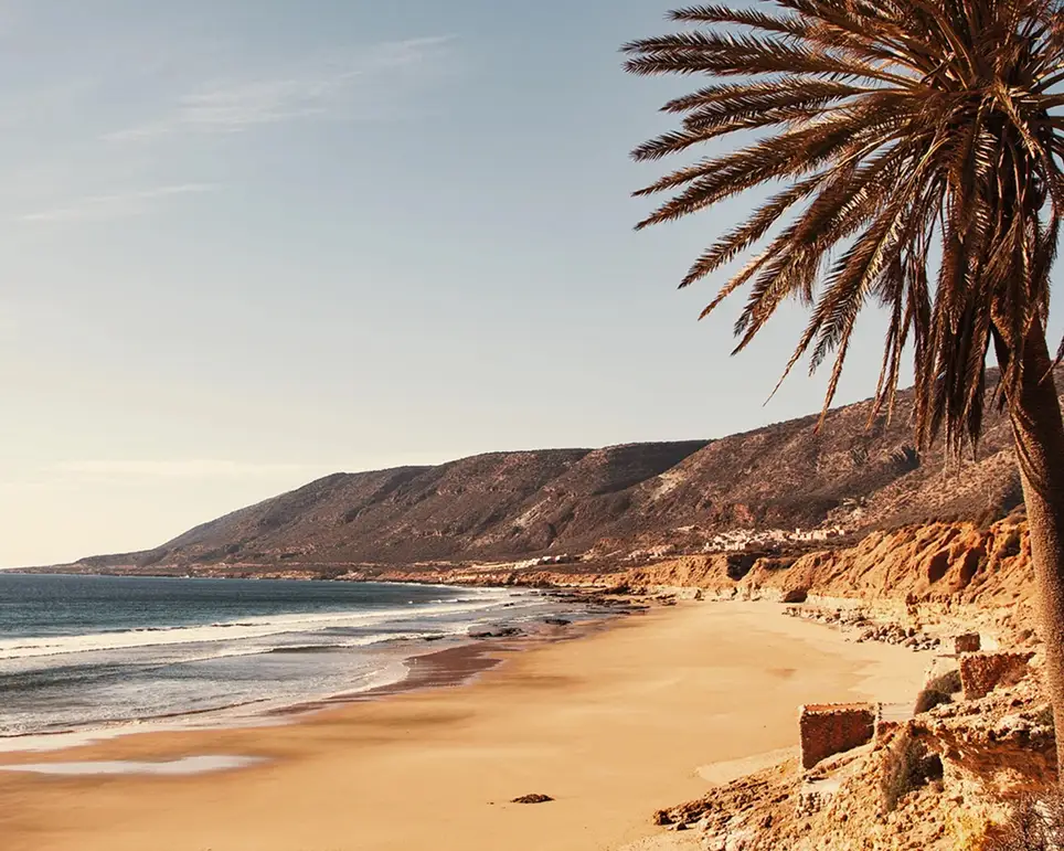 Agadir Strand und Palme